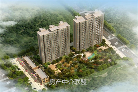 恒大名都大信桂竹园新都华城旁一楼带院单价只要6000多